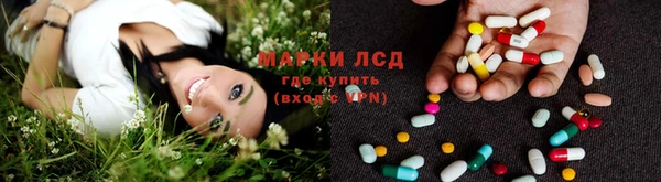 ешки Бородино