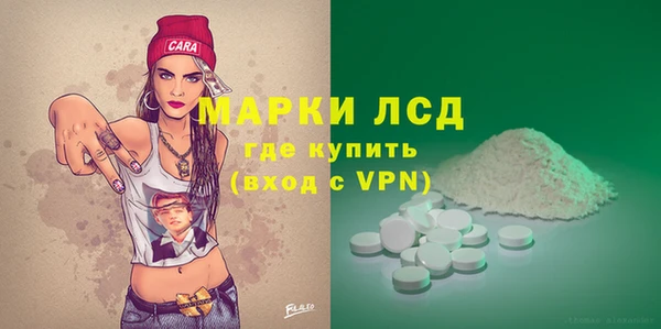 ешки Бородино
