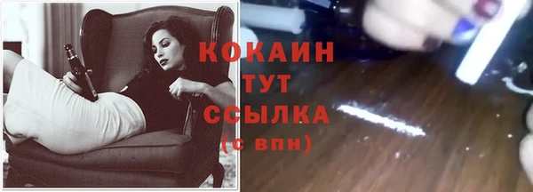 ешки Бородино