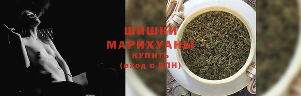 молекула духа Богородицк