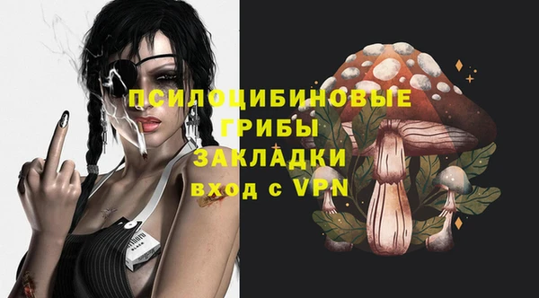 круглые Бронницы