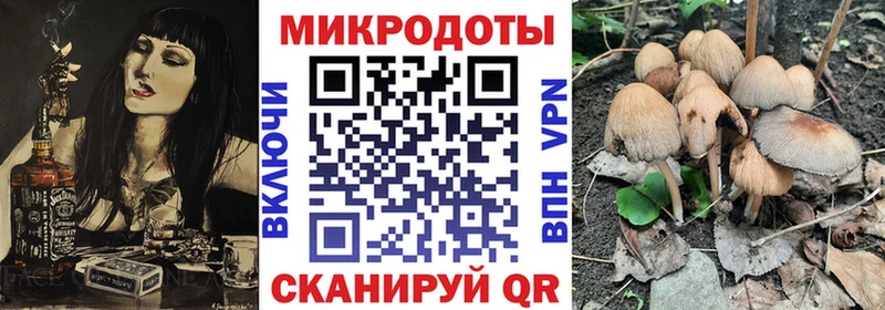 Галлюциногенные грибы GOLDEN TEACHER  Дмитровск 